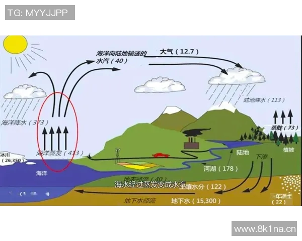 全球气候变化加剧极端天气现象 科学家呼吁全球合作应对未来挑战